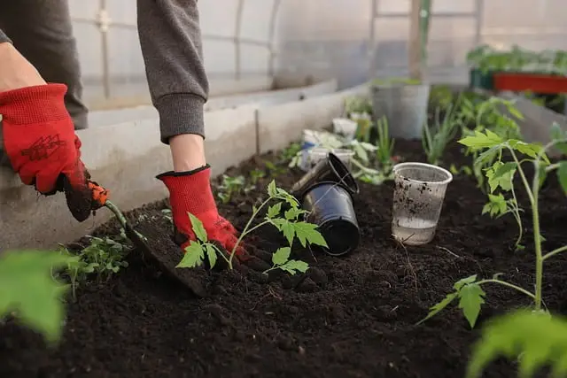 Tuinman in Doetinchem