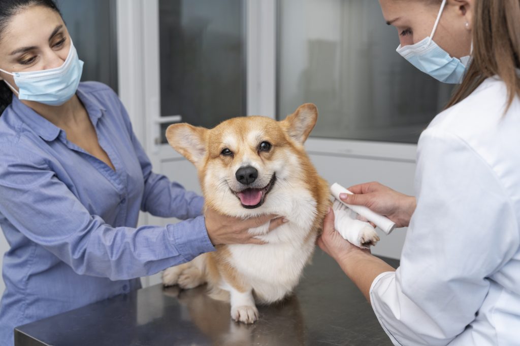 Dierenkliniek in doetinchem